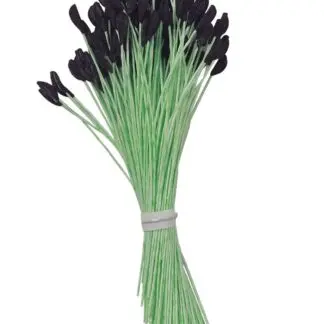 Pręciki matowe Czarne do Lilii