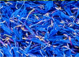 Kwiaty jadalne - Chaber Niebieski 10g