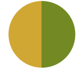 Jadalny Metaliczny barwnik w proszku bez E171- Gold & Green Highliter - Roxy & Rich - 2,5g