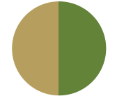 Jadalny Metaliczny barwnik w proszku bez E171- Soft Gold & Green Leaf Highliter - Roxy & Rich - 2,5g