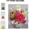 barwniki pudrowe DUST COLOURS